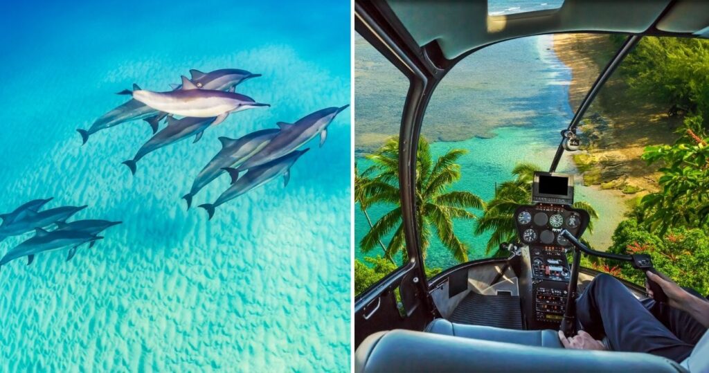 dolphins in the water, a helicopter flight over the beach in kauai, hawaii