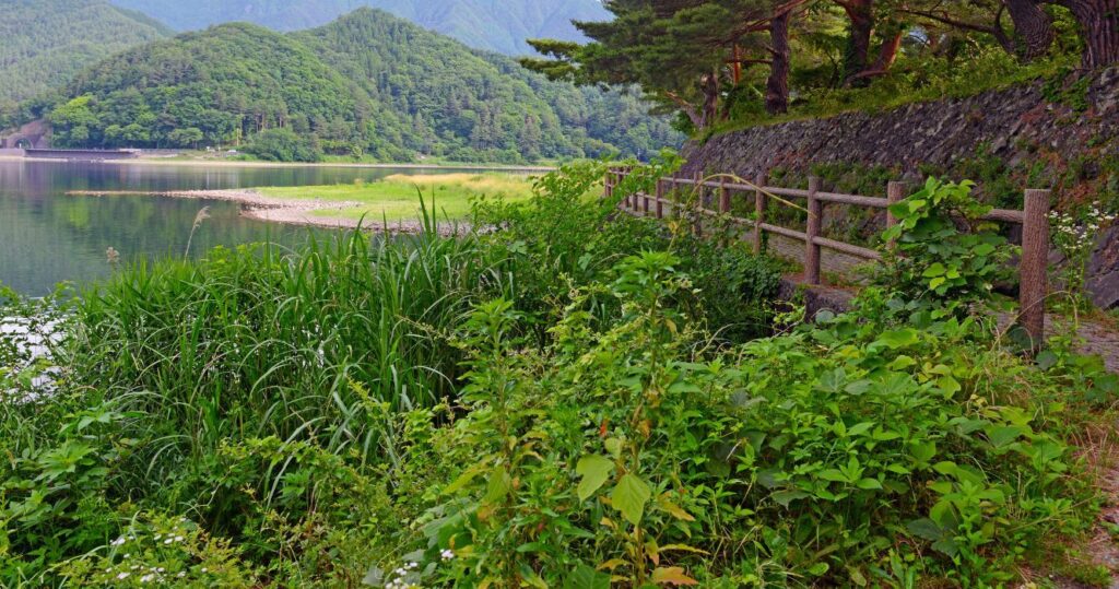 a hiking trail near tokyo, japan