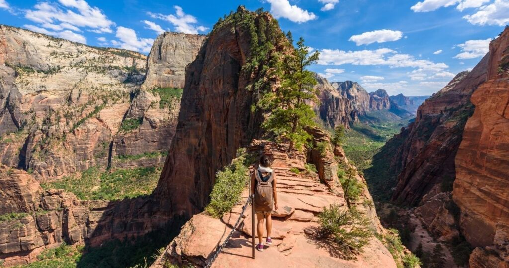 the hiking trail up to angels landing zion national park