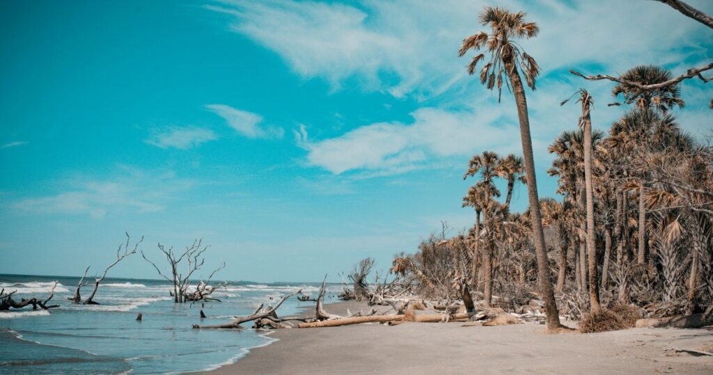 the beach at bulls island, south carolina