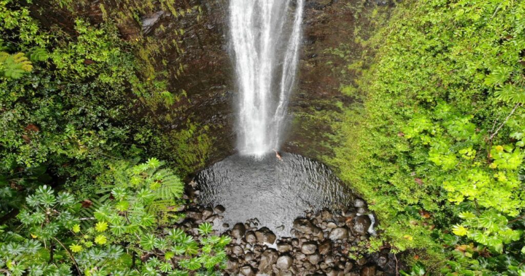 Manoa Falls, Oahu, Hawaii