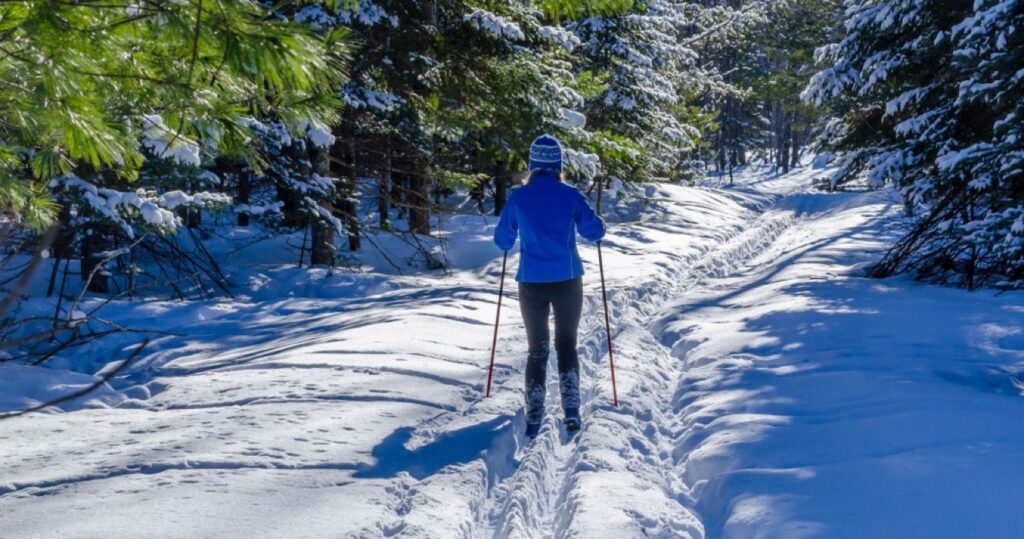 Cross Country Skiing in Northern Michigan