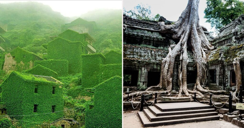 10 lugares abandonados que a natureza recuperou