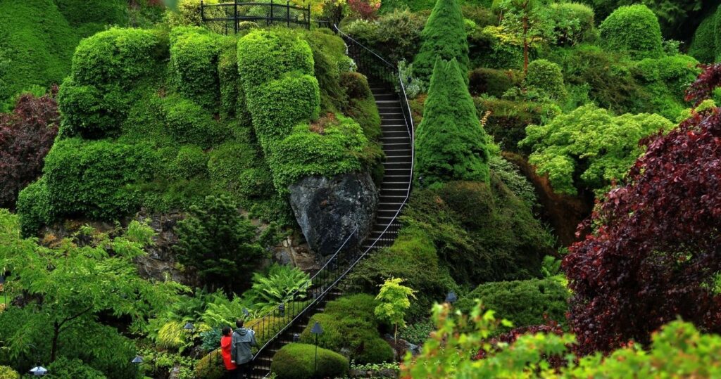 a botanical garden on vancouver island, canada