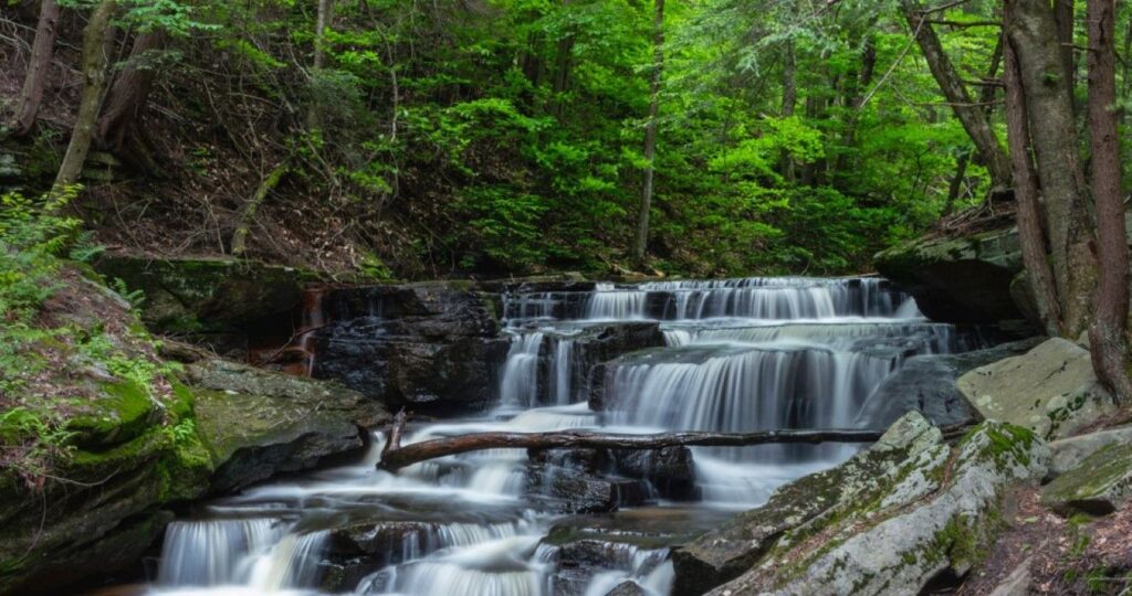 Pigeon Falls in The Allegheny National Forest near Marienville Pennsylvania