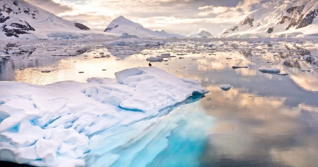 an iceberg in antarctica at sunset