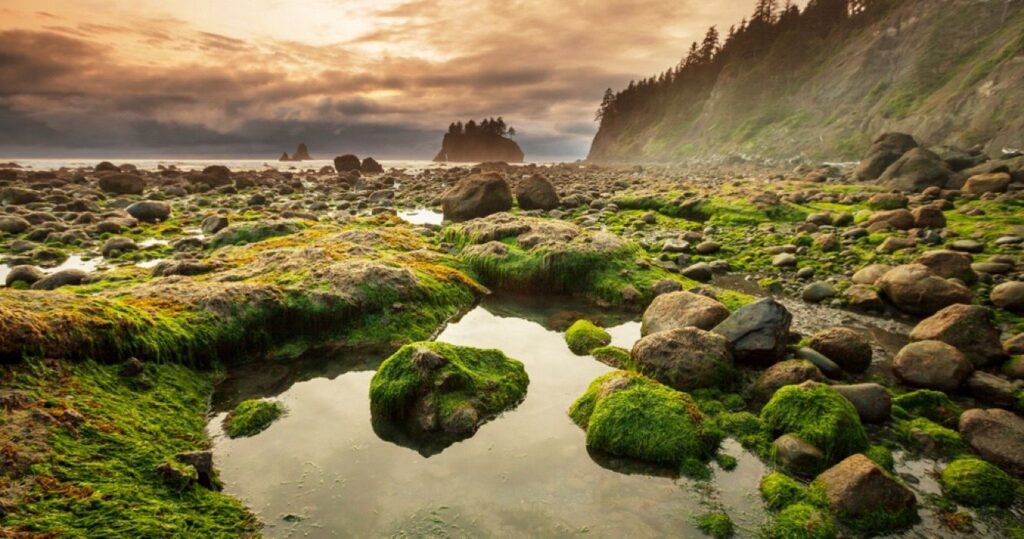 Olympic National Park, Washington