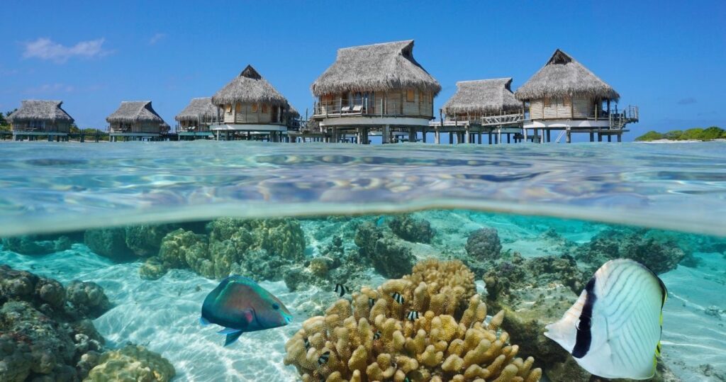 resort in the maldives