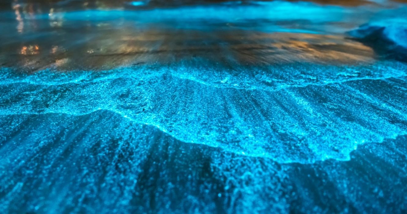 ondas bioluminescentes em uma praia à noite