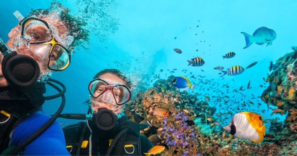 a couple diving to a reef