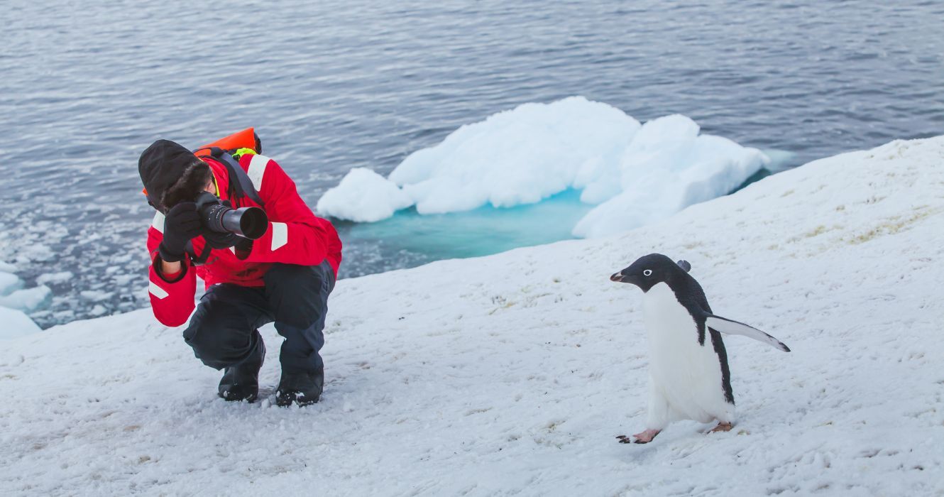 um fotógrafo tirando uma foto de um pinguim na antártica