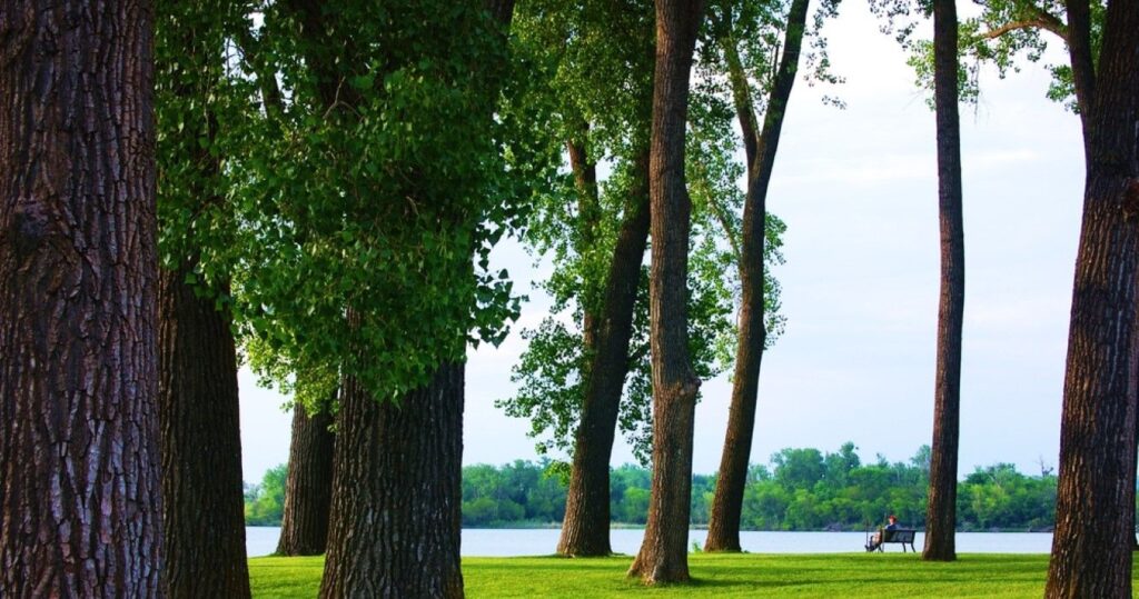 Park at lake in Iowa