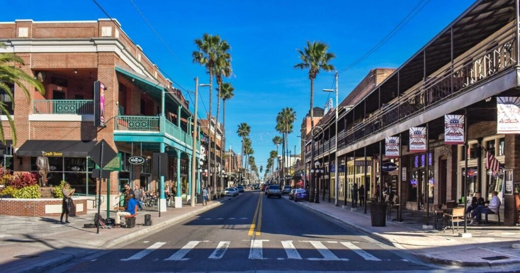 a city street in tampa lined with palm trees