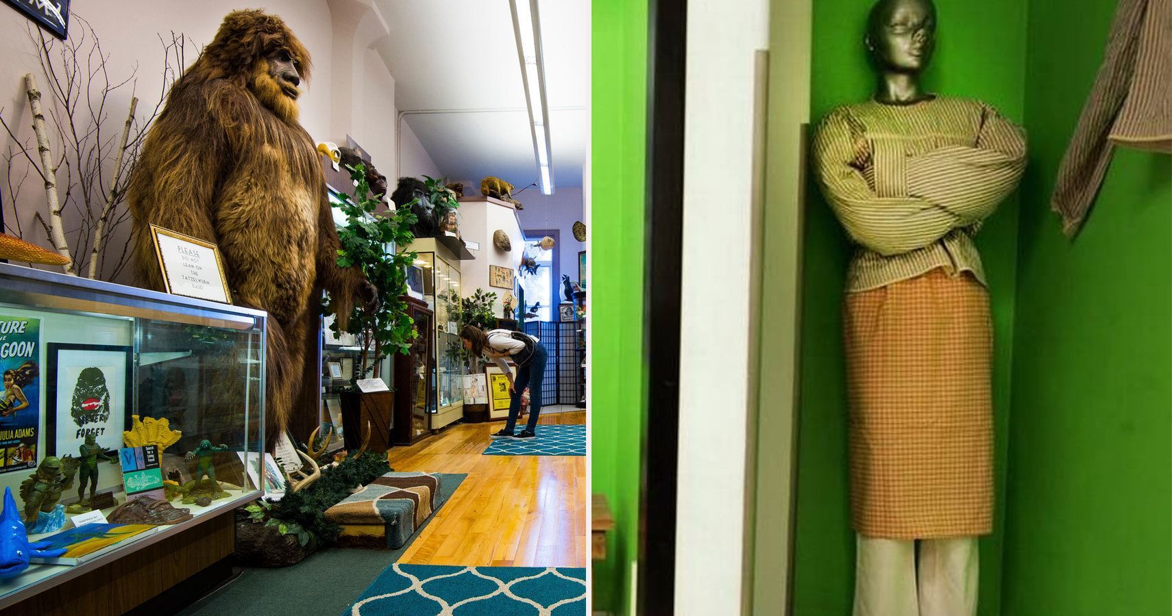 Os 10 museus de terror corporal mais assustadores da America