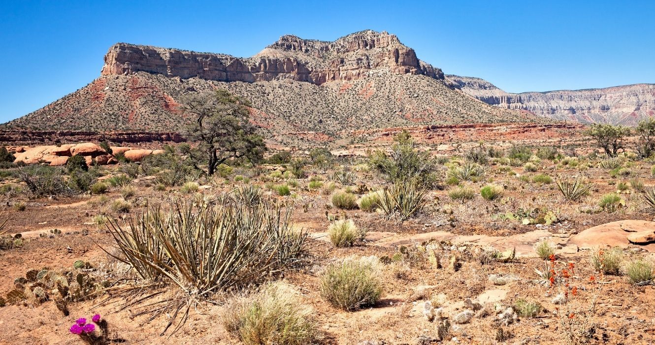 Grand Canyon–Parashant National Monument no Arizona