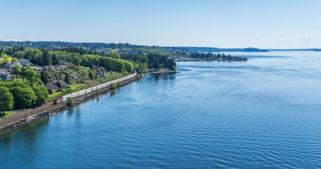 Shore of the Tacoma Narrows waterway