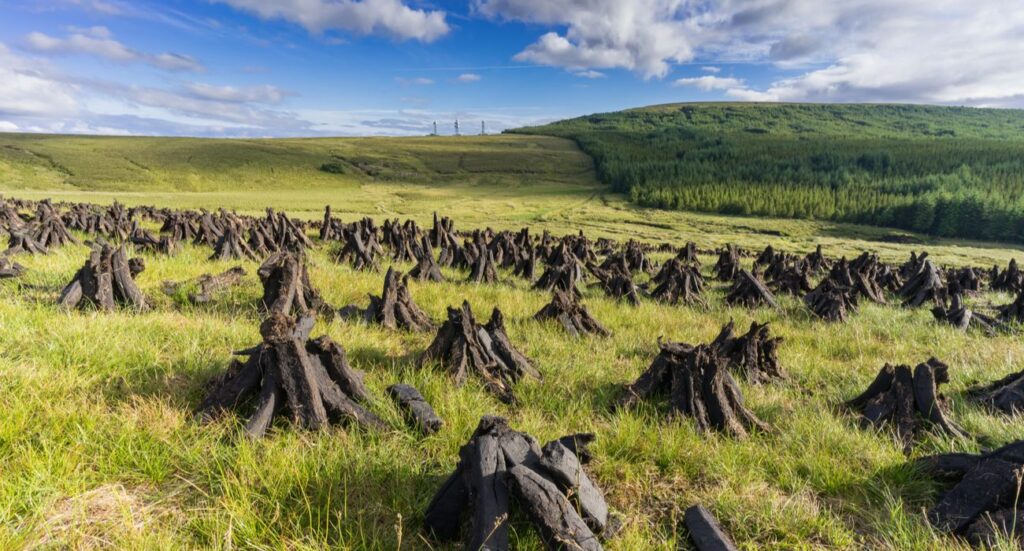 Peat Bogs Of Ireland