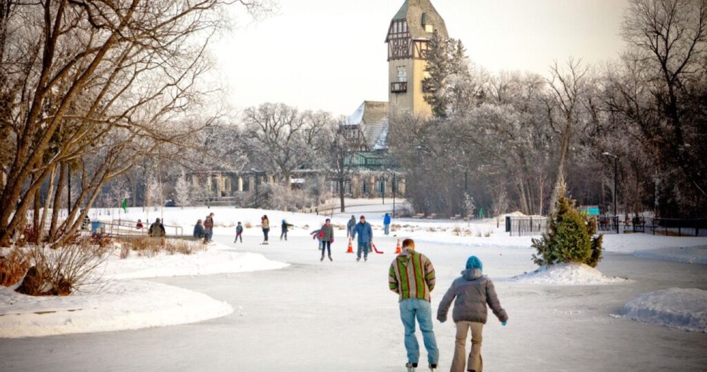 Assinibione Park Duck, Winnipeg, Manitoba, Canada