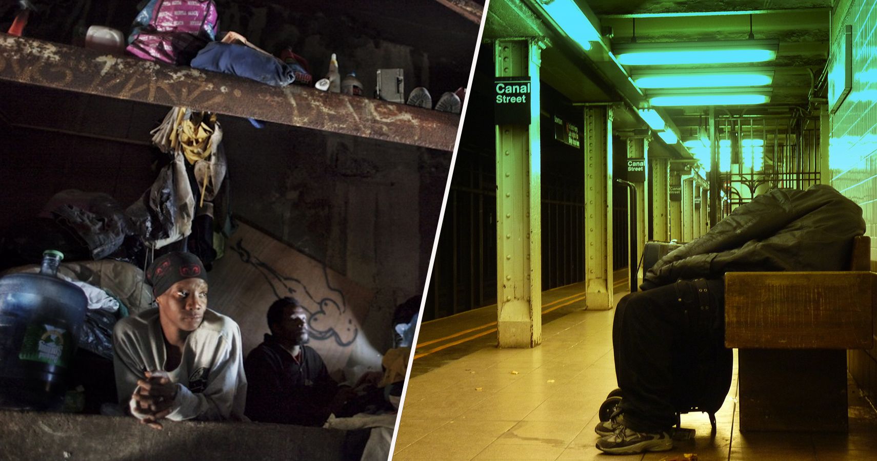 20 segredos sobre as toupeiras que vivem nos tuneis de