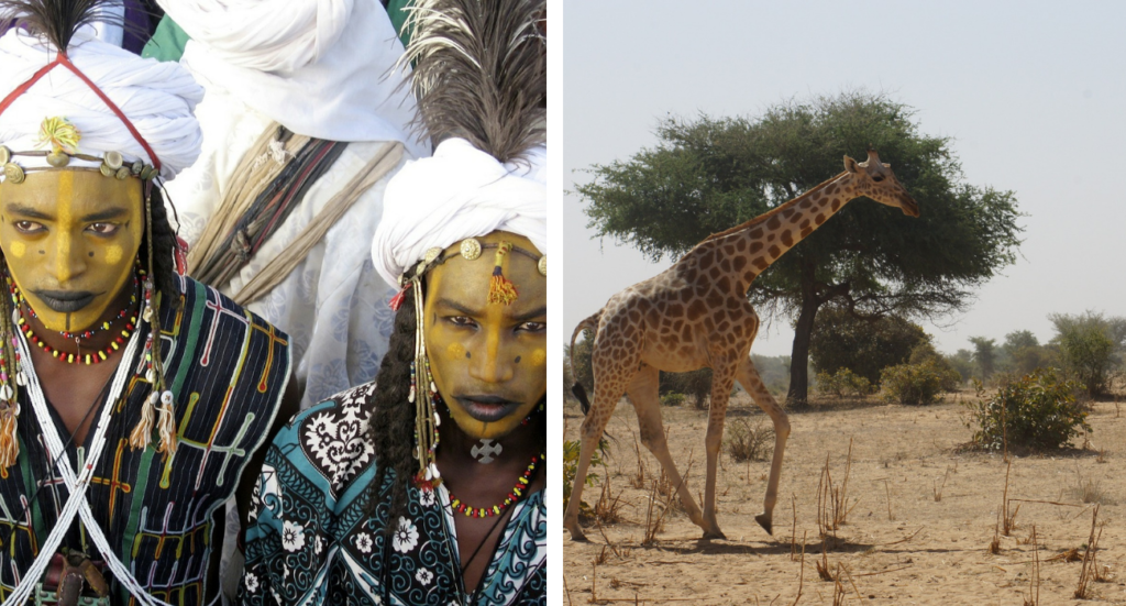 Attractions In Niger
