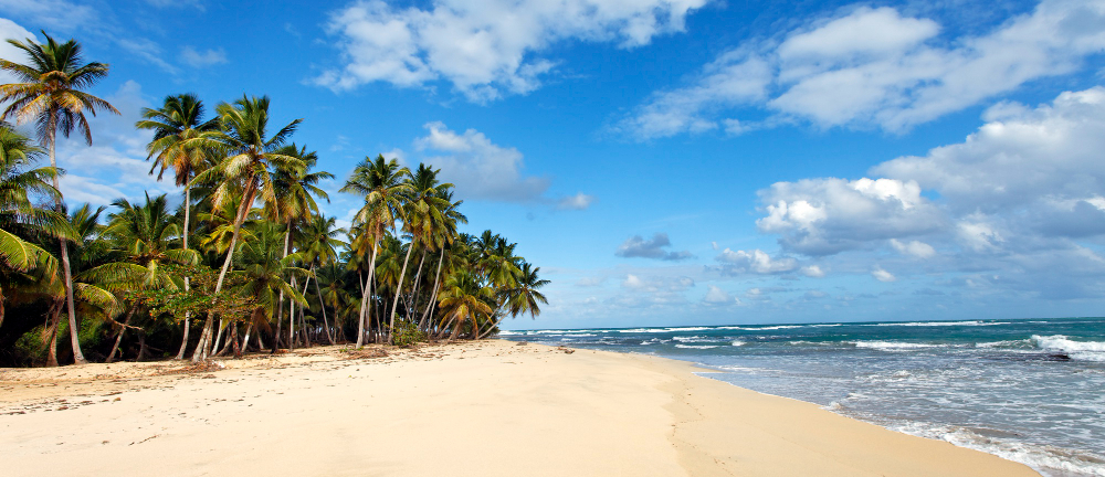 Viajar para Porto de Galinhas 2