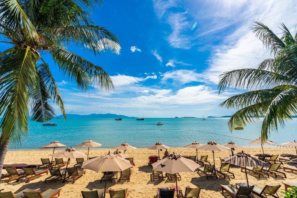 Viajar para Porto de Galinhas