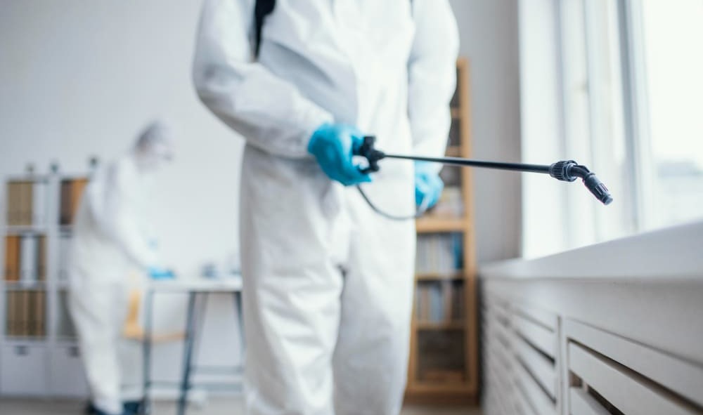 Como Escreve Dedetização: Guia Completo Sobre o Termo e Sua Importância 1 como escreve dedetização